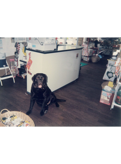 前島バードセンター跡の前の写真